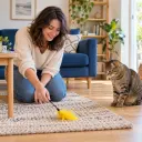 Cat owner arranging a favorite toy in a bright living room for a feline-view photo idea