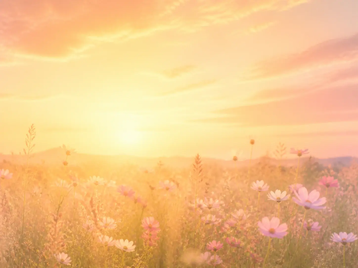 A meadow at golden hour dissolved into a gentle dreamy haze with soft light bloom