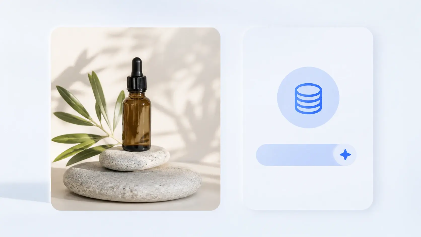 Download screen showing a cleaned product photo exported with no watermark beside a credit balance