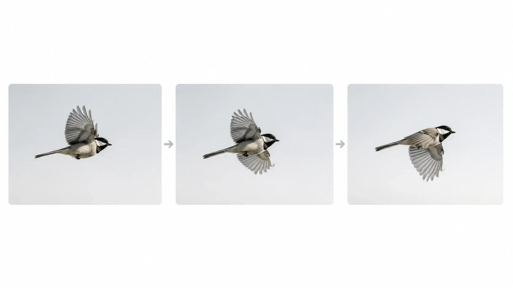 Three sequential frames showing AI-predicted motion continuation