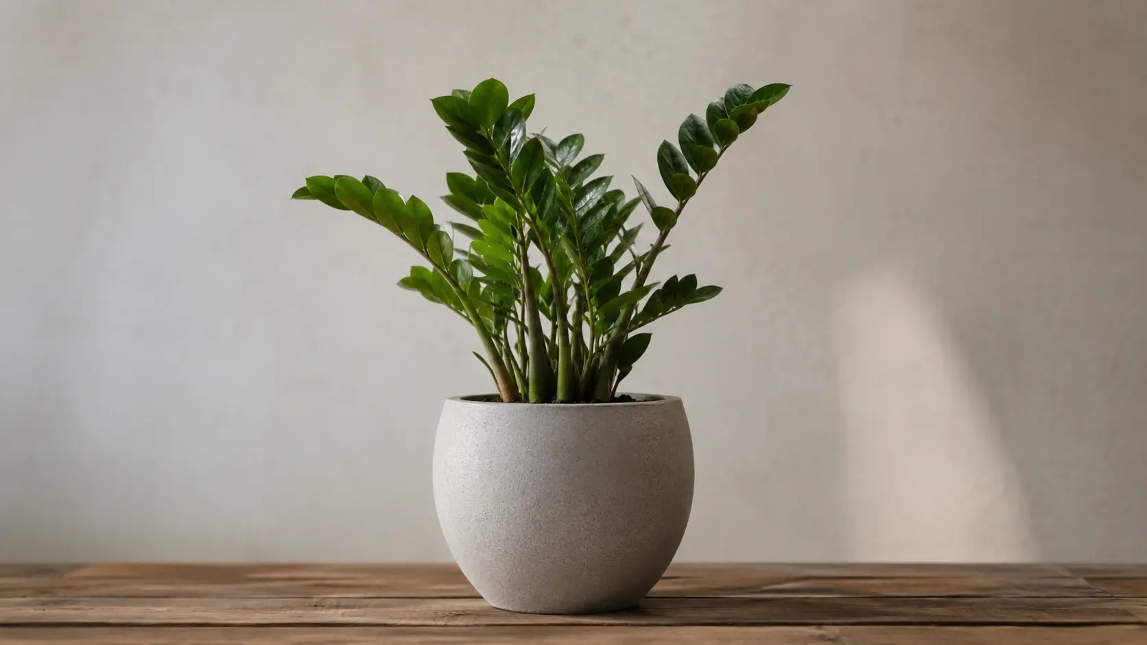 Dim indoor photo with low light grain smoothed away while surface texture is preserved