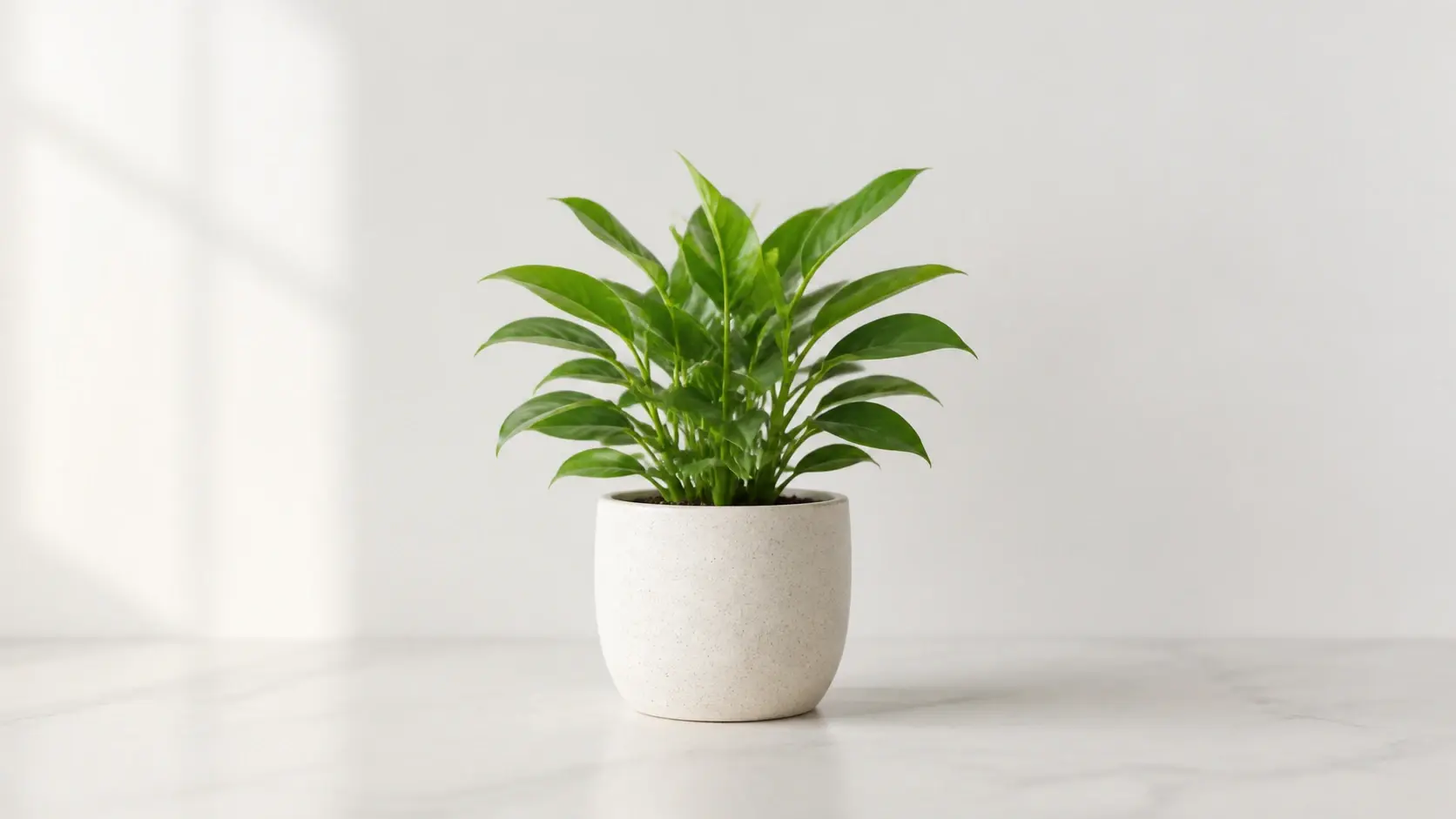 Soft gradient surface showing a small frame growing into a large clean canvas