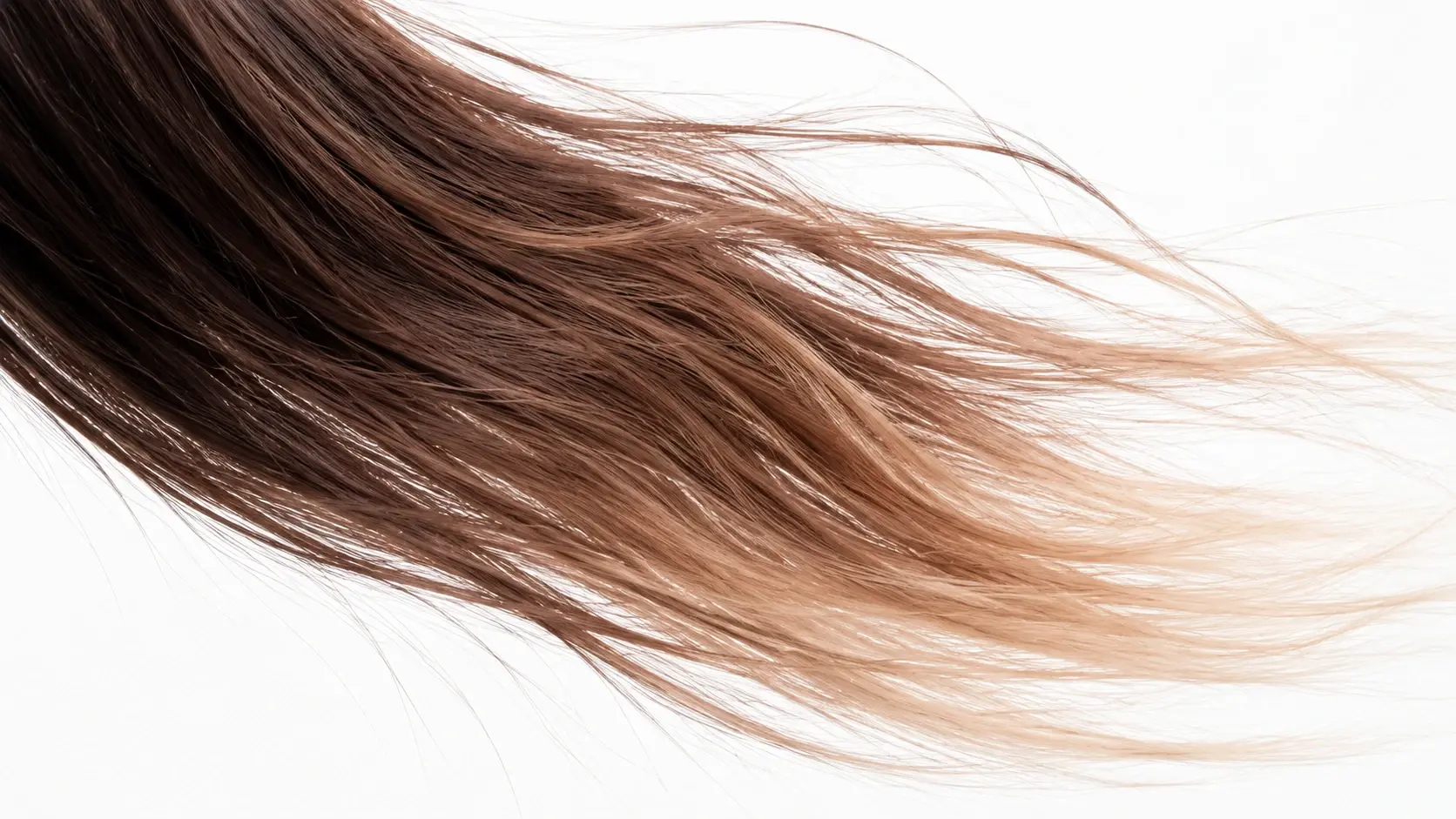 Macro close-up of hair strands cleanly separated on white background with no halo