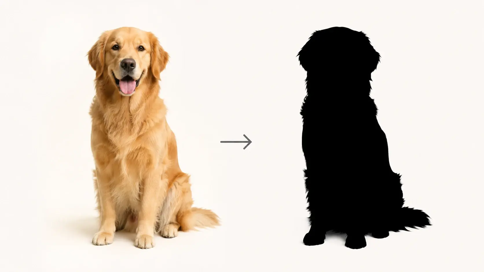 A photo turning into a black silhouette on its own without any hand tracing or masking