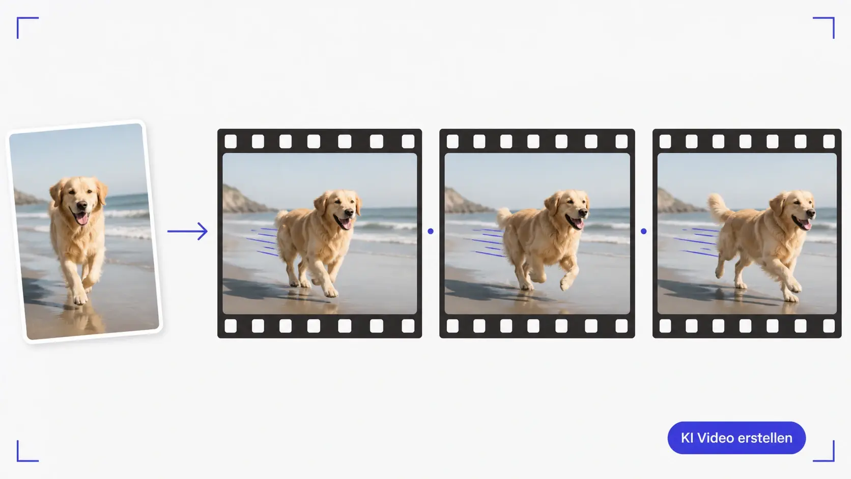 Tierfoto wird beim ki video erstellen zu Filmbildern mit klarer Laufbewegung