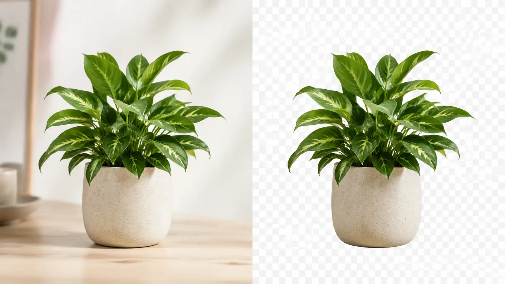 Product photo on the left and the same subject cut out as a transparent PNG on a checkered canvas