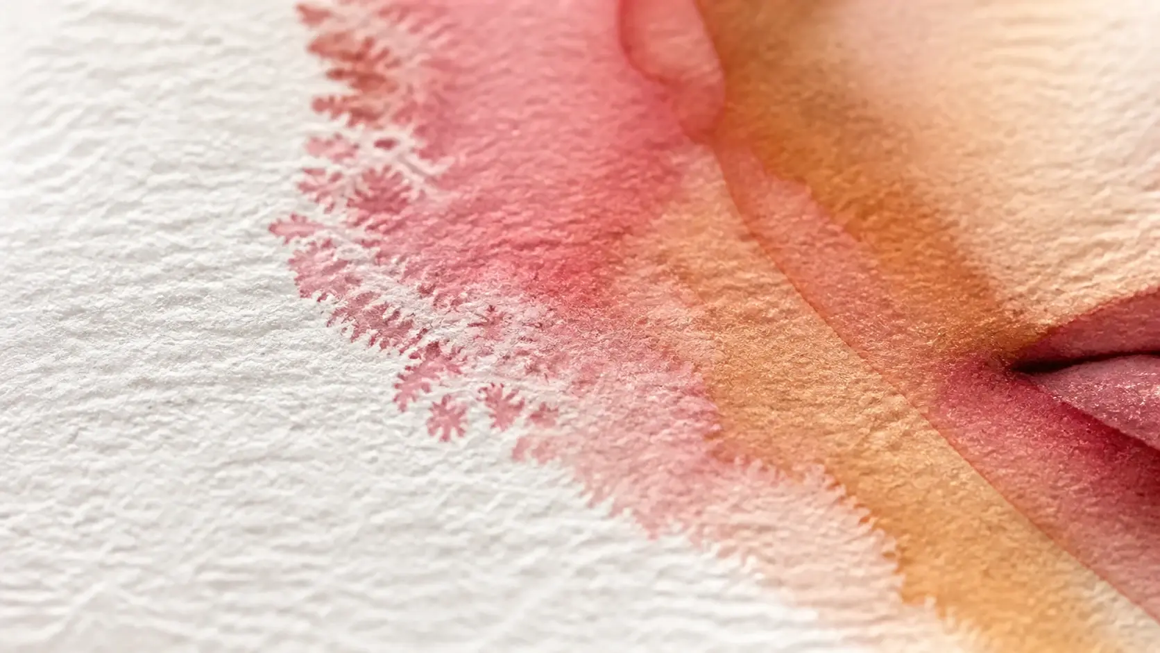 Watercolor effect on a portrait showing edge blooms, layered washes, and bare paper